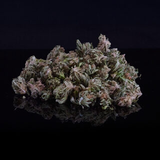 Small Buds