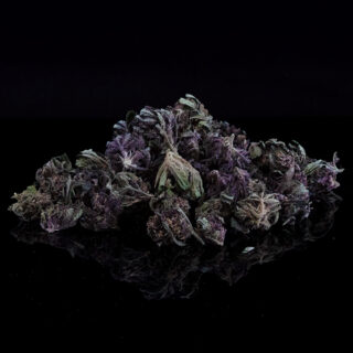 Small Buds purple